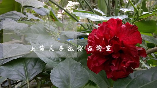 上海民事法律咨询室 上海民事法律咨询室