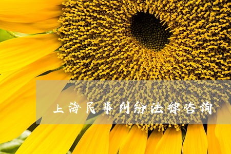 上海民事纠纷法律咨询 上海民事纠纷法律咨询