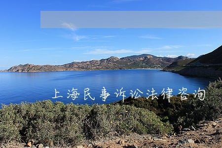 上海民事诉讼法律咨询 上海民事诉讼法律咨询