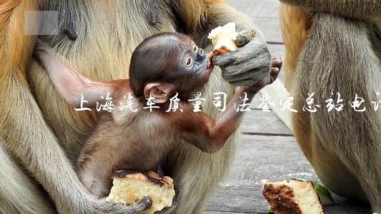 上海汽车质量司法鉴定总站电话