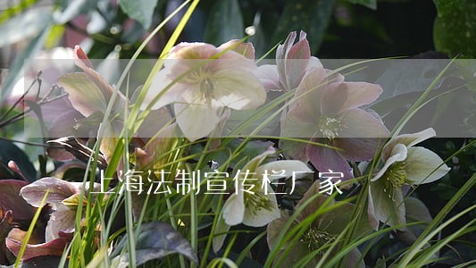 上海法制宣传栏厂家 上海法制宣传栏厂家
