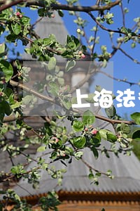 上海法律业务培训 上海法律业务培训