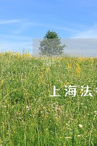 上海法律顾问工作内容和要求 上海法律顾问工作内容和要求