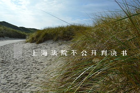 上海法院不公开判决书 上海法院不公开判决书