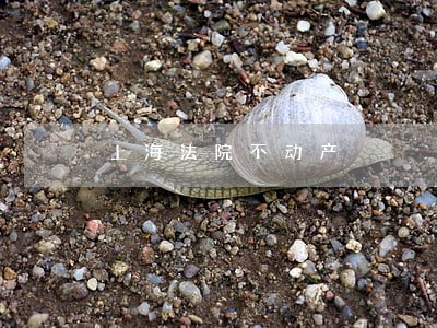 上海法院不动产 上海法院不动产