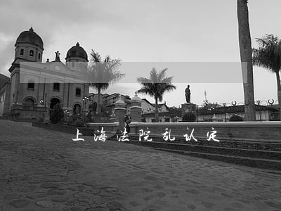 上海法院乱认定 上海法院乱认定