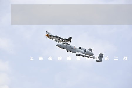 上海法院依法扣压赔二战损失 上海法院依法扣压赔二战损失