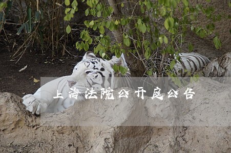 上海法院公开庭公告