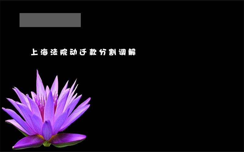 上海法院动迁款分割调解 上海法院动迁款分割调解