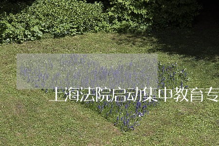 上海法院启动集中教育专项整顿 上海法院启动集中教育专项整顿