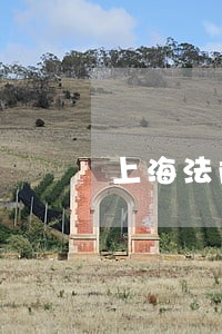上海法院周庆 上海法院周庆