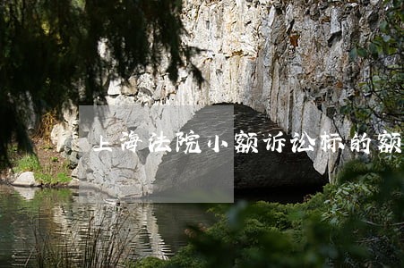 上海法院小额诉讼标的额 上海法院小额诉讼标的额