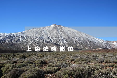 上海法院岗位 上海法院岗位