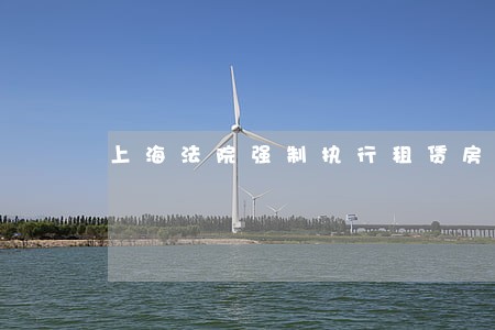 上海法院强制执行租赁房产 上海法院强制执行租赁房产