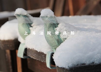 上海法院微调解 上海法院微调解
