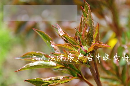 上海法院房产估价收费标准