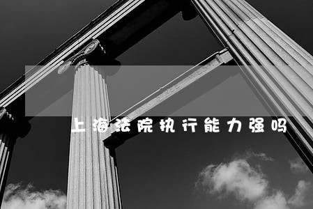 上海法院执行能力强吗 上海法院执行能力强吗
