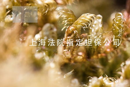 上海法院指定担保公司 上海法院指定担保公司