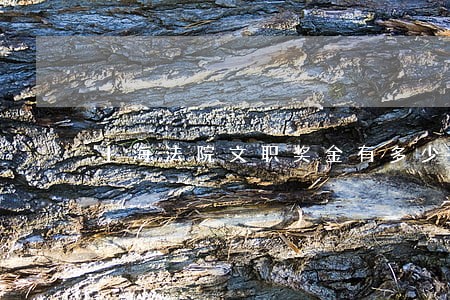 上海法院文职奖金有多少 上海法院文职奖金有多少