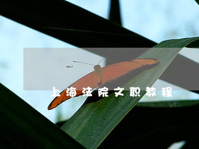 上海法院文职教程 上海法院文职教程