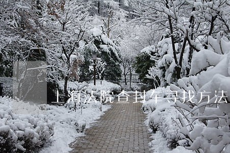 上海法院查封车寻找方法 上海法院查封车寻找方法
