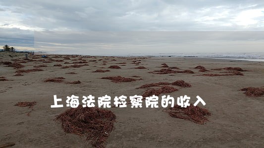 上海法院检察院的收入 上海法院检察院的收入