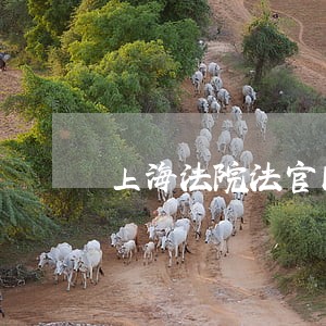 上海法院法官同案不同判 上海法院法官同案不同判