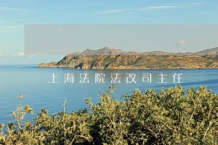 上海法院法改司主任 上海法院法改司主任