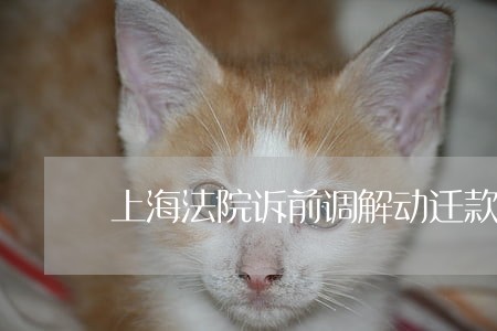 上海法院诉前调解动迁款分割