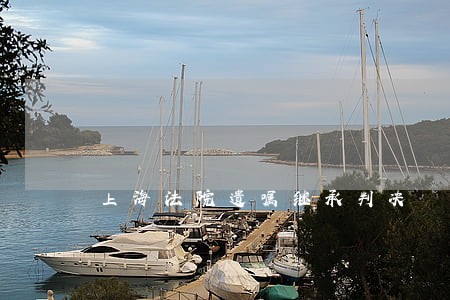 上海法院遗嘱继承判决
