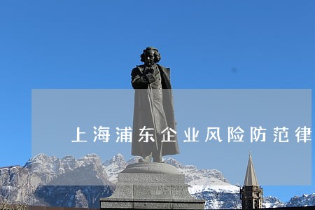 上海浦东企业风险防范律师多少钱