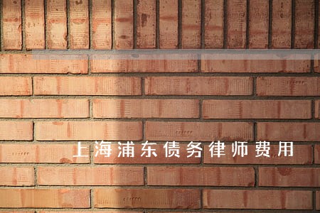 上海浦东债务律师费用 上海浦东债务律师费用