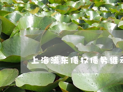 上海浦东债权债务继承律师 上海浦东债权债务继承律师