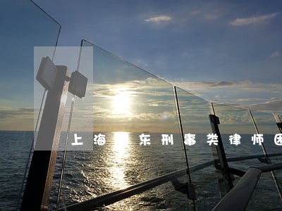 上海浦东刑事类律师团队 上海浦东刑事类律师团队