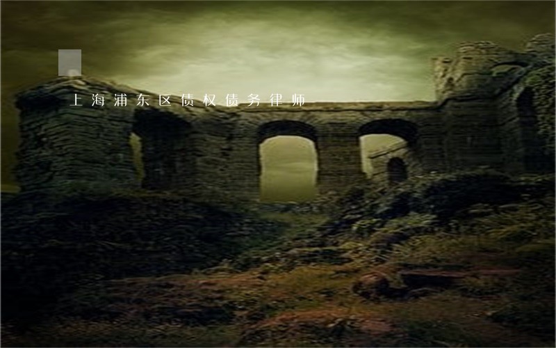 上海浦东区债权债务律师 上海浦东区债权债务律师