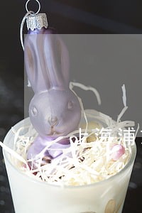 上海浦东区离婚律师