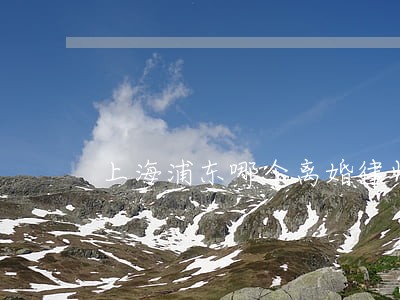 上海浦东哪个离婚律师好 上海浦东哪个离婚律师好