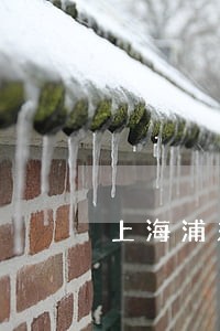 上海浦东征地赔偿律师费用多少 上海浦东征地赔偿律师费用多少