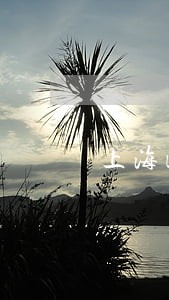 上海浦东律师事务所债务 上海浦东律师事务所债务