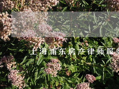 上海浦东房产律师服务 上海浦东房产律师服务