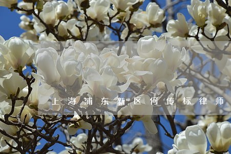 上海浦东新区何传标律师 上海浦东新区何传标律师