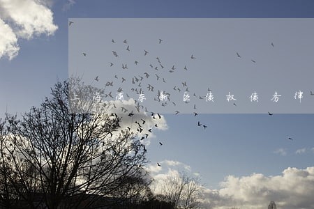 上海浦东新区债权债务律师 上海浦东新区债权债务律师