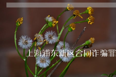 上海浦东新区合同诈骗罪律师咨询 上海浦东新区合同诈骗罪律师咨询