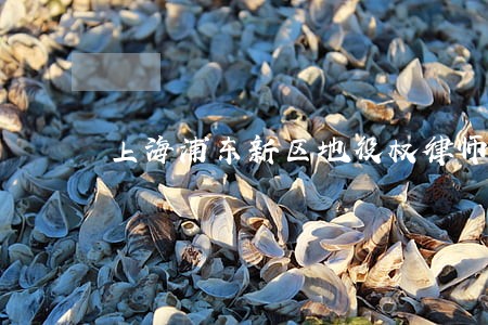 上海浦东新区地役权律师联系方式