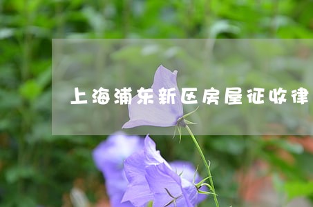 上海浦东新区房屋征收律师 上海浦东新区房屋征收律师