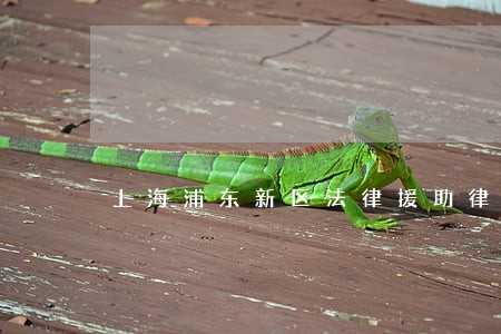上海浦东新区法律援助律师