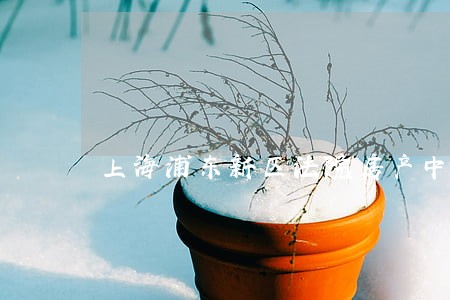 上海浦东新区法院房产中介 上海浦东新区法院房产中介