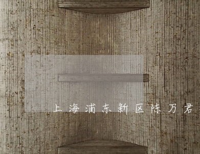 上海浦东新区陈万君律师观点