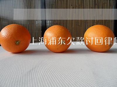 上海浦东欠款讨回律师电话咨询