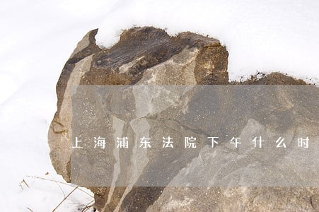 上海浦东法院下午什么时候上班 上海浦东法院下午什么时候上班